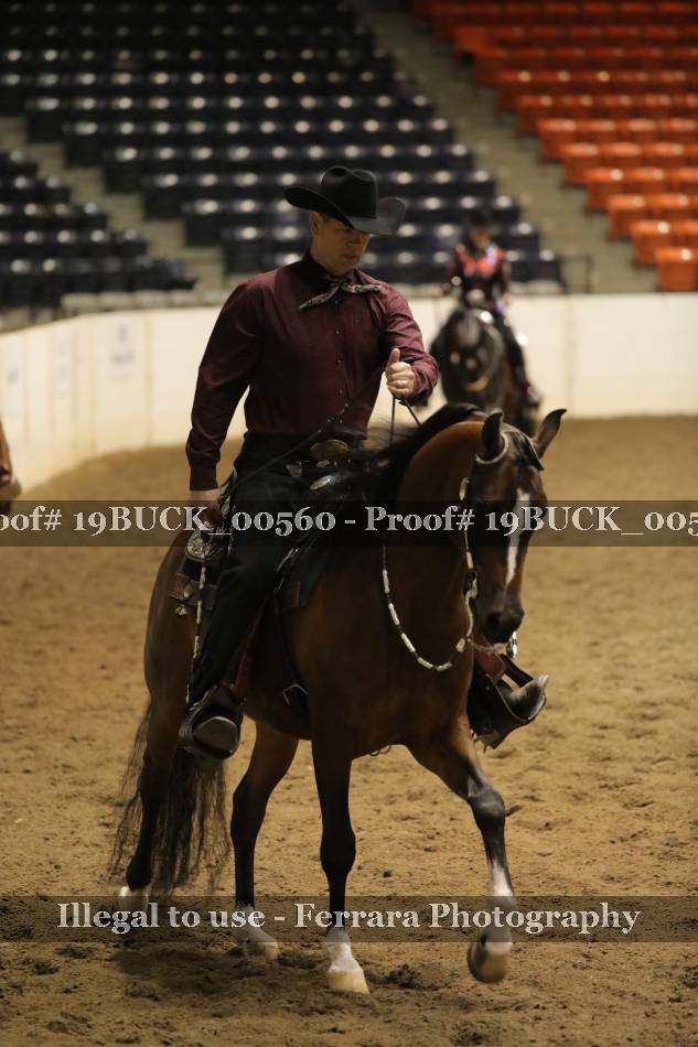 Proof 19BUCK_00560