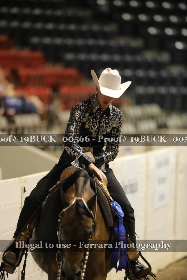 Proof 19BUCK_00566