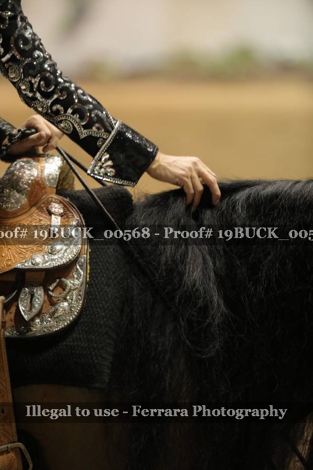 Proof 19BUCK_00568