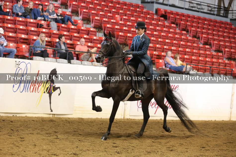 Proof 19BUCK_00569