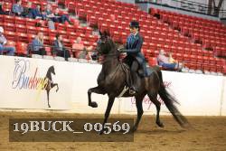 19BUCK_00569 proof