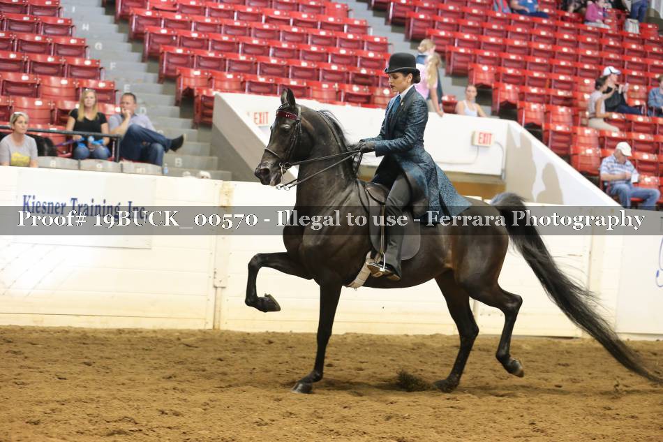 Proof 19BUCK_00570