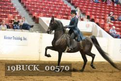 19BUCK_00570 proof