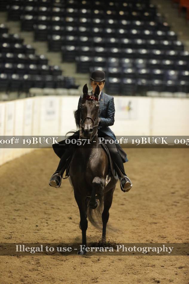 Proof 19BUCK_00571