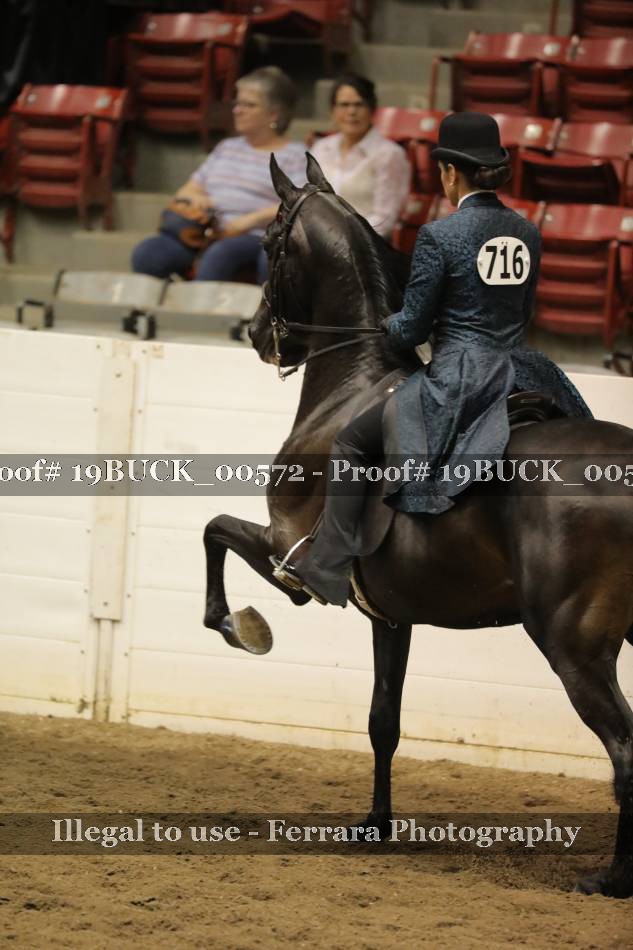 Proof 19BUCK_00572
