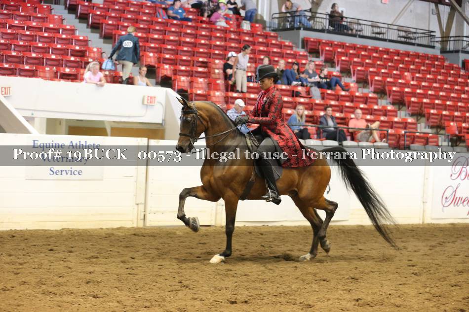 Proof 19BUCK_00573