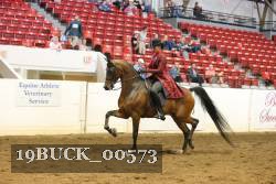 19BUCK_00573 proof