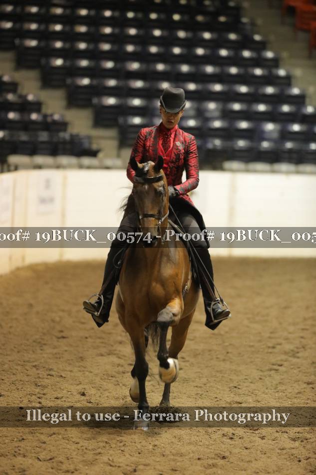 Proof 19BUCK_00574