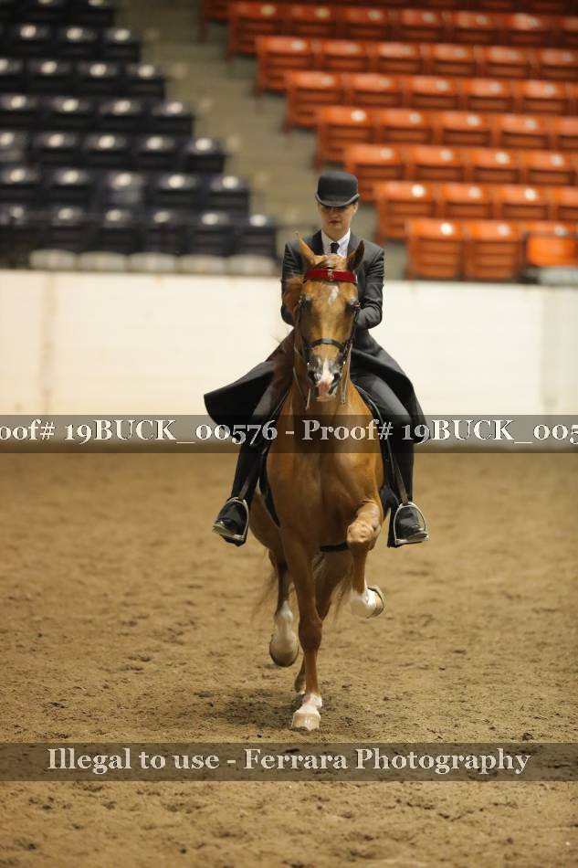 Proof 19BUCK_00576