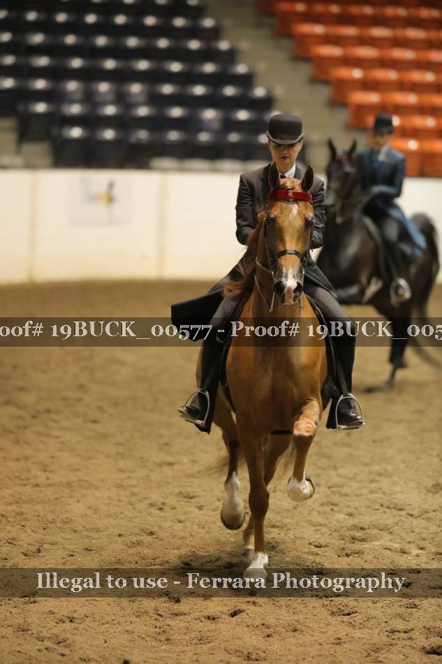 Proof 19BUCK_00577