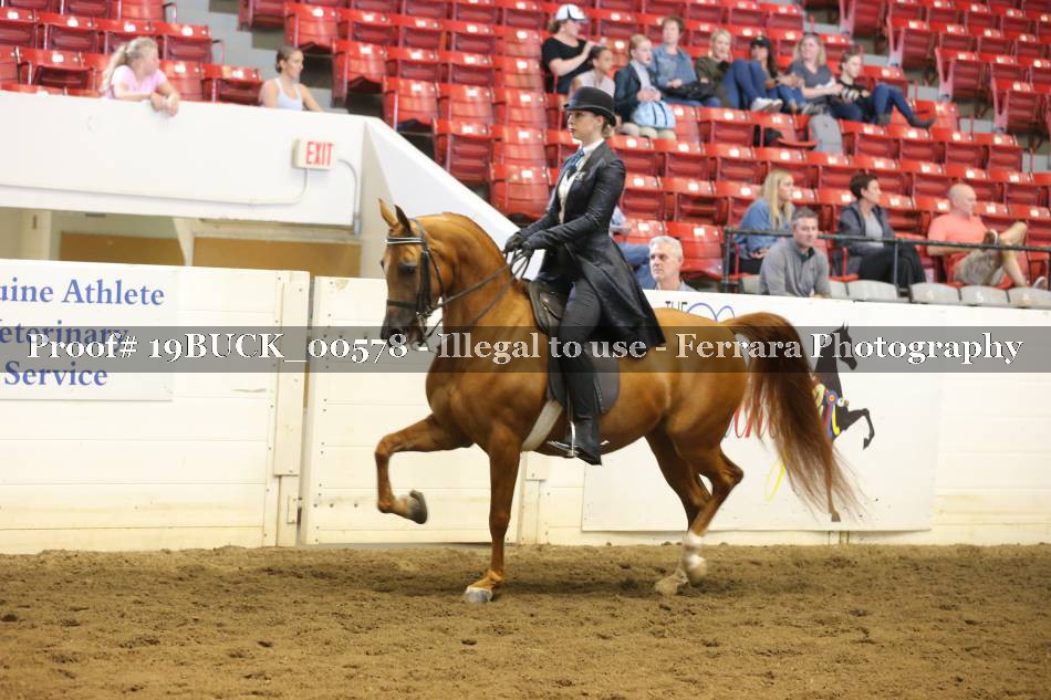 Proof 19BUCK_00578