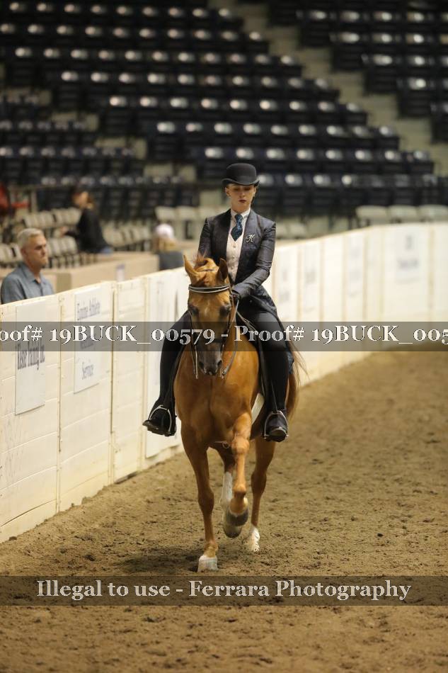 Proof 19BUCK_00579