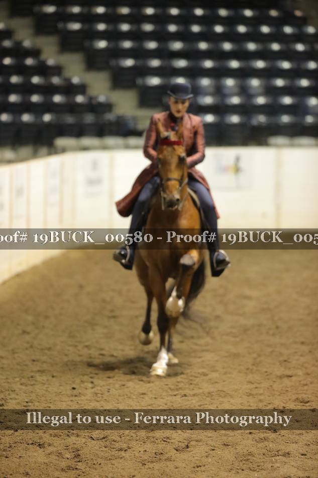 Proof 19BUCK_00580