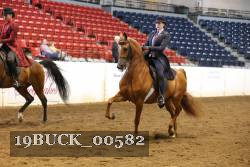 19BUCK_00582 proof
