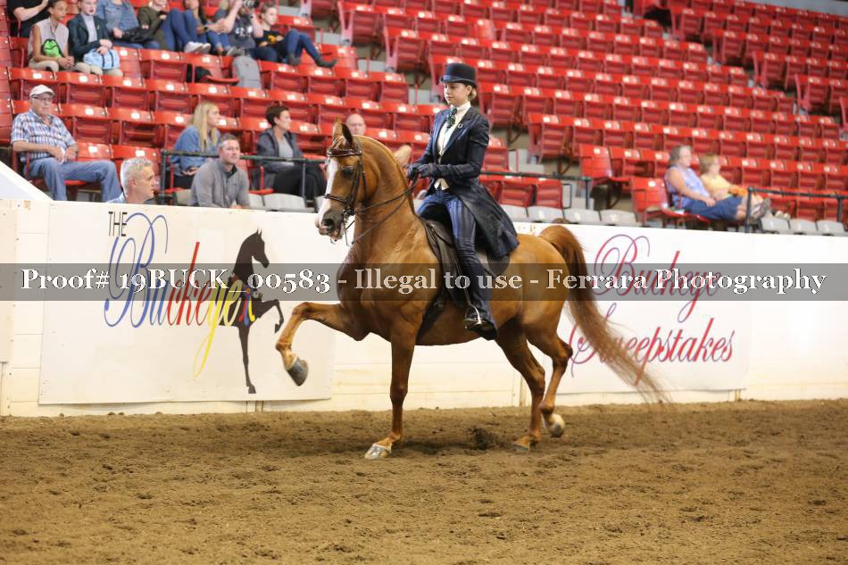 Proof 19BUCK_00583