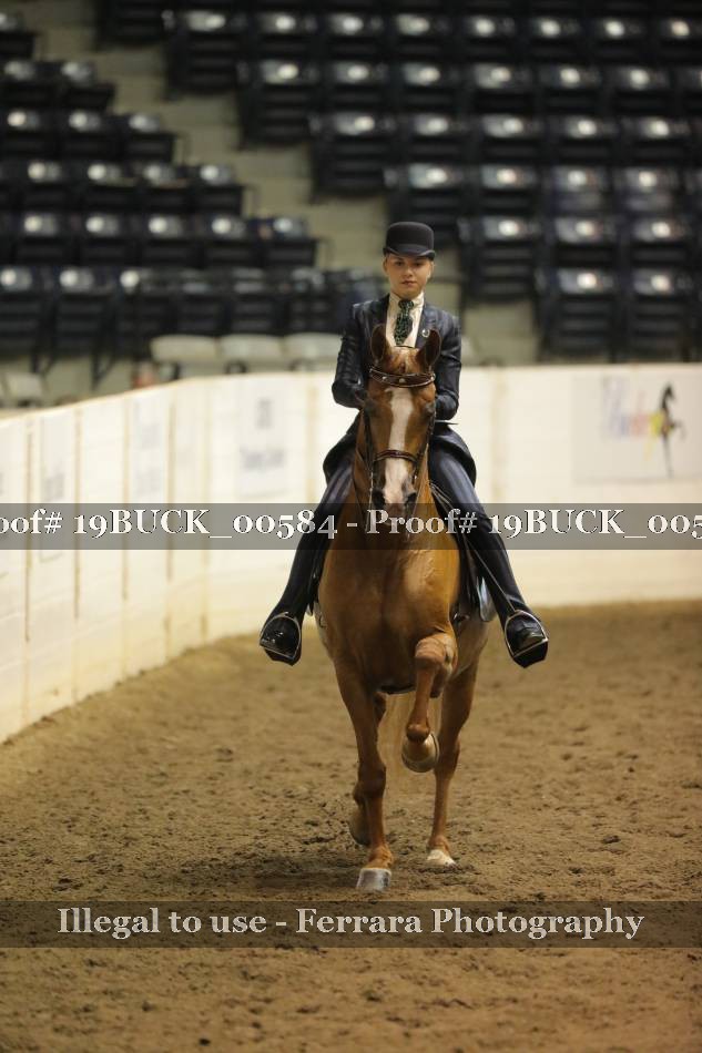 Proof 19BUCK_00584