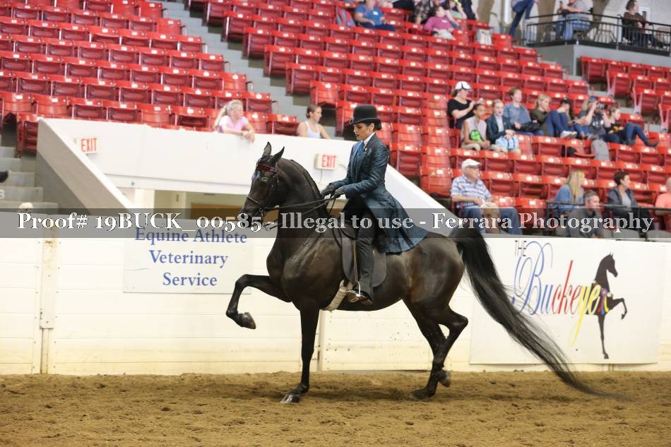Proof 19BUCK_00585