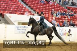 19BUCK_00585 proof