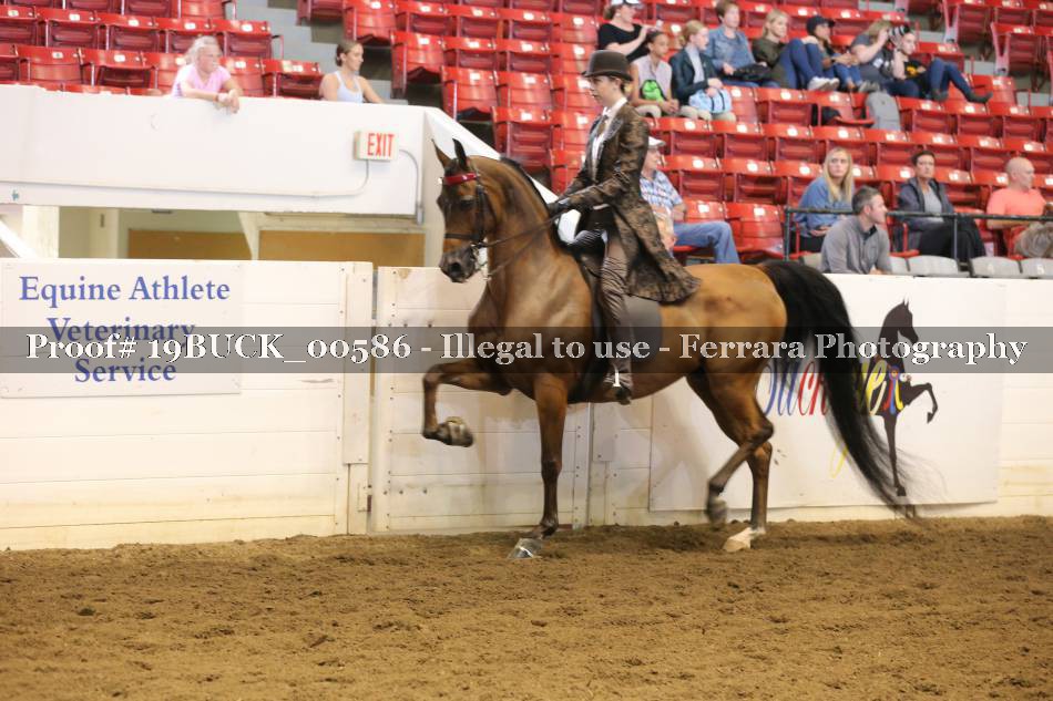 Proof 19BUCK_00586