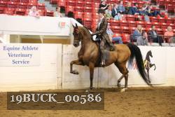 19BUCK_00586 proof