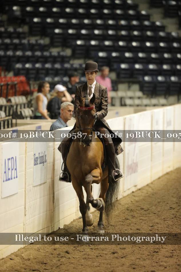 Proof 19BUCK_00587