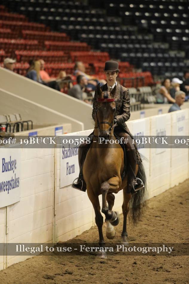 Proof 19BUCK_00588