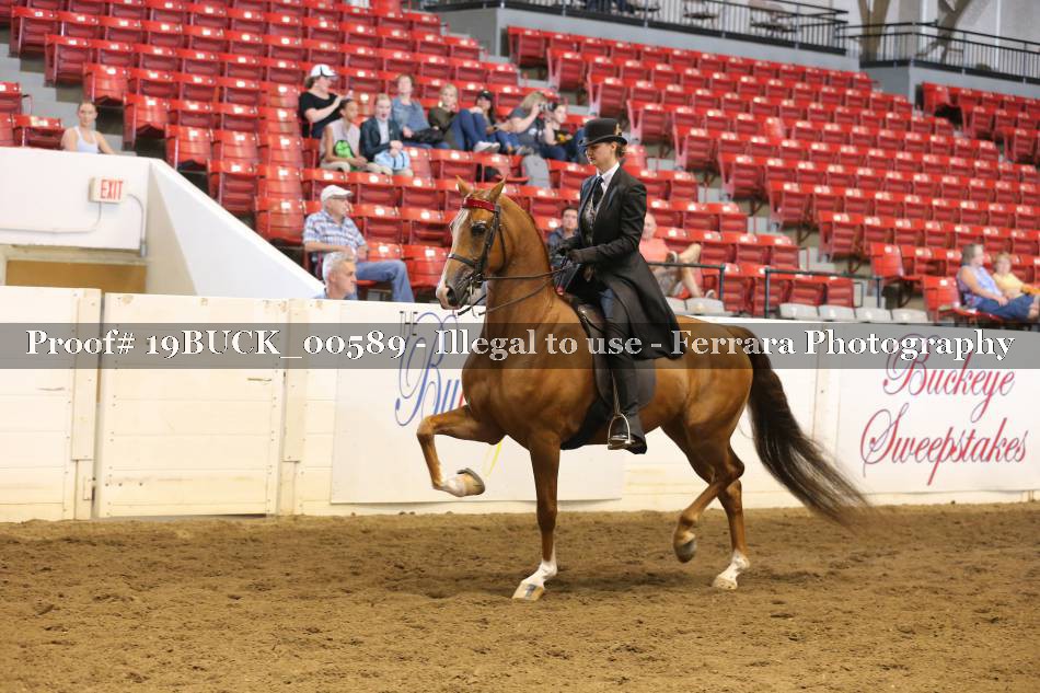 Proof 19BUCK_00589