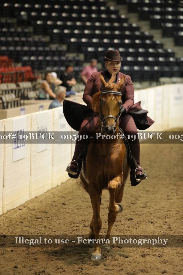 Proof 19BUCK_00590