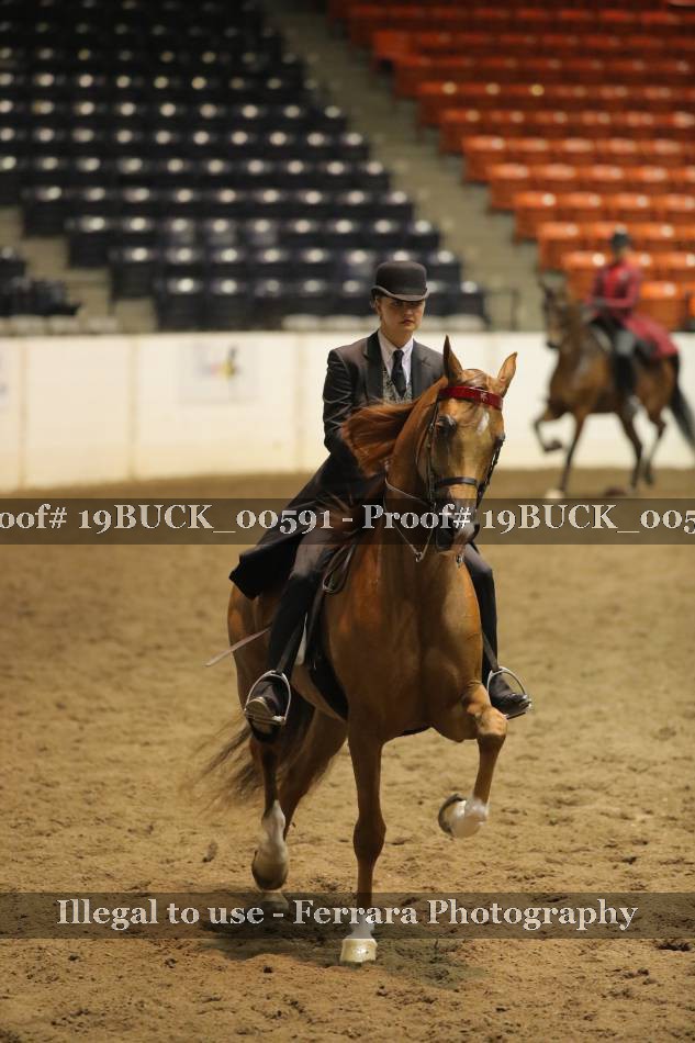 Proof 19BUCK_00591