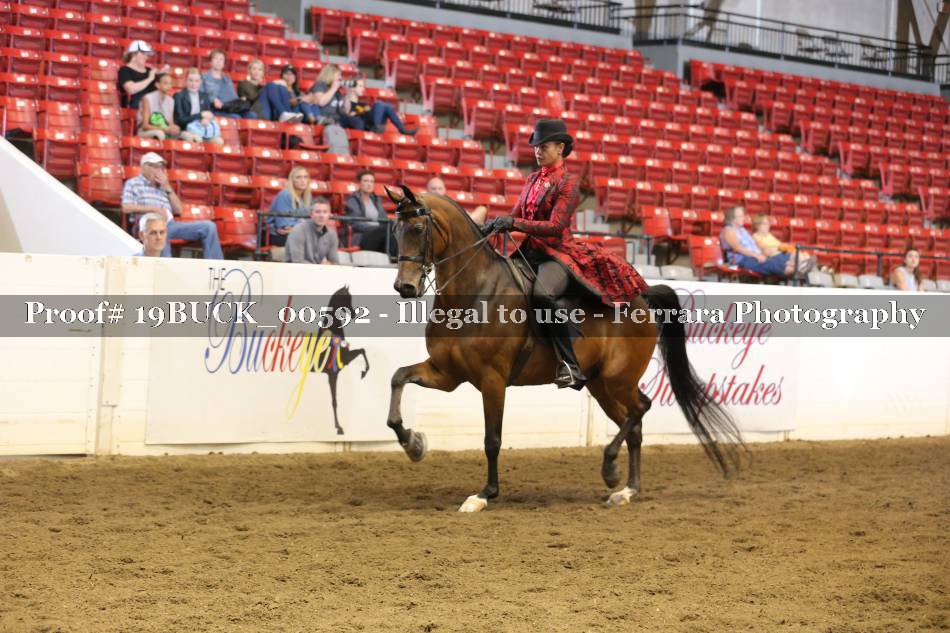 Proof 19BUCK_00592