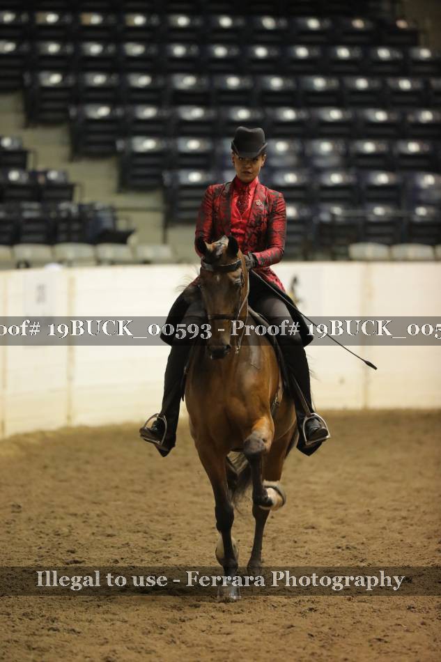 Proof 19BUCK_00593