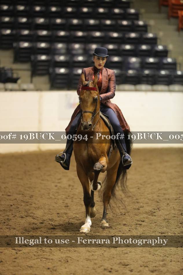 Proof 19BUCK_00594