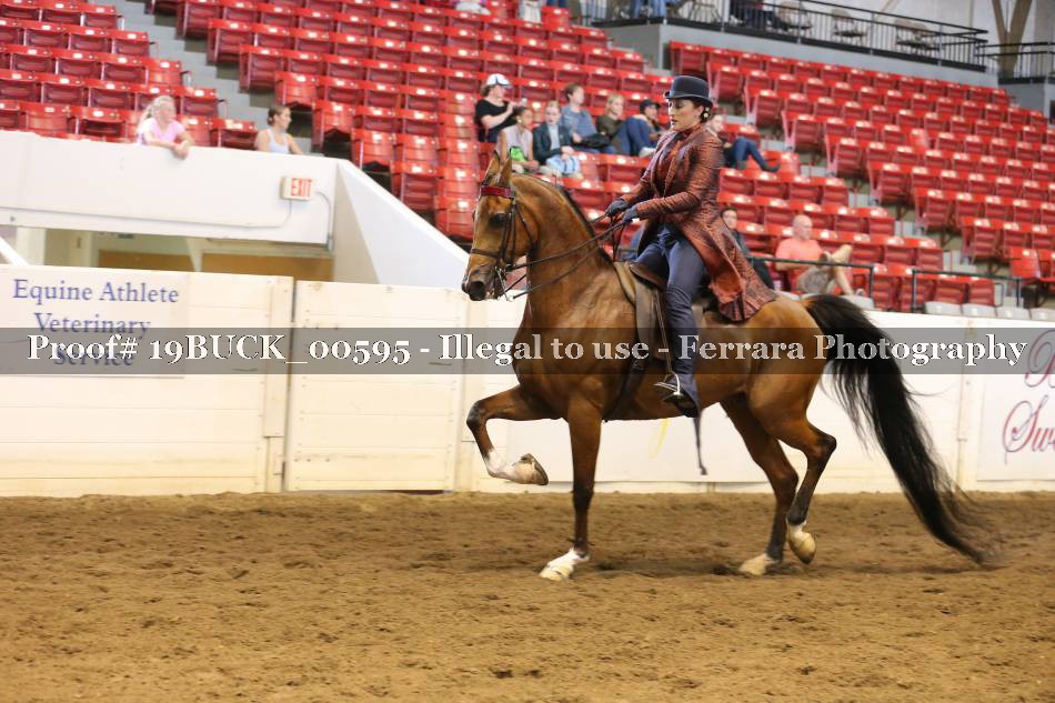 Proof 19BUCK_00595