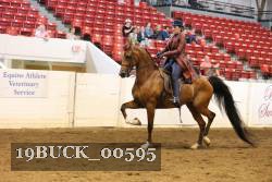 19BUCK_00595 proof