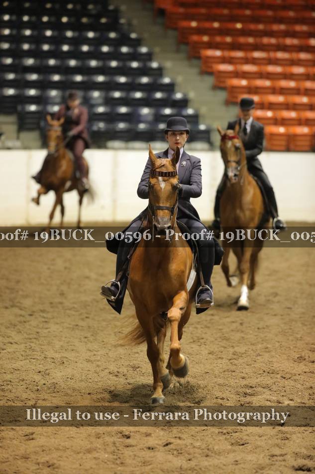Proof 19BUCK_00596