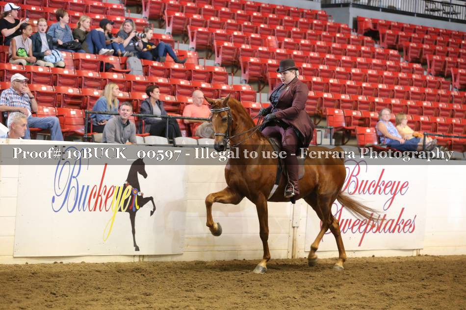 Proof 19BUCK_00597