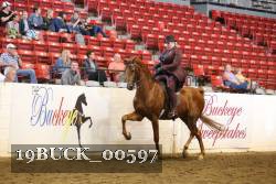 19BUCK_00597 proof
