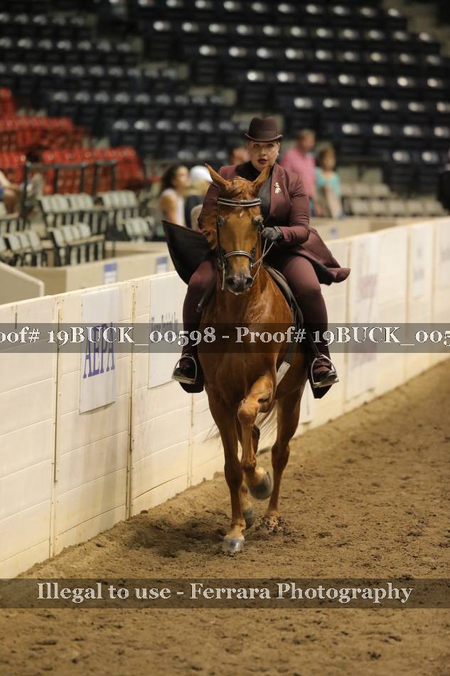 Proof 19BUCK_00598