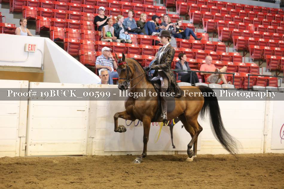 Proof 19BUCK_00599