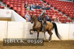 19BUCK_00599 proof