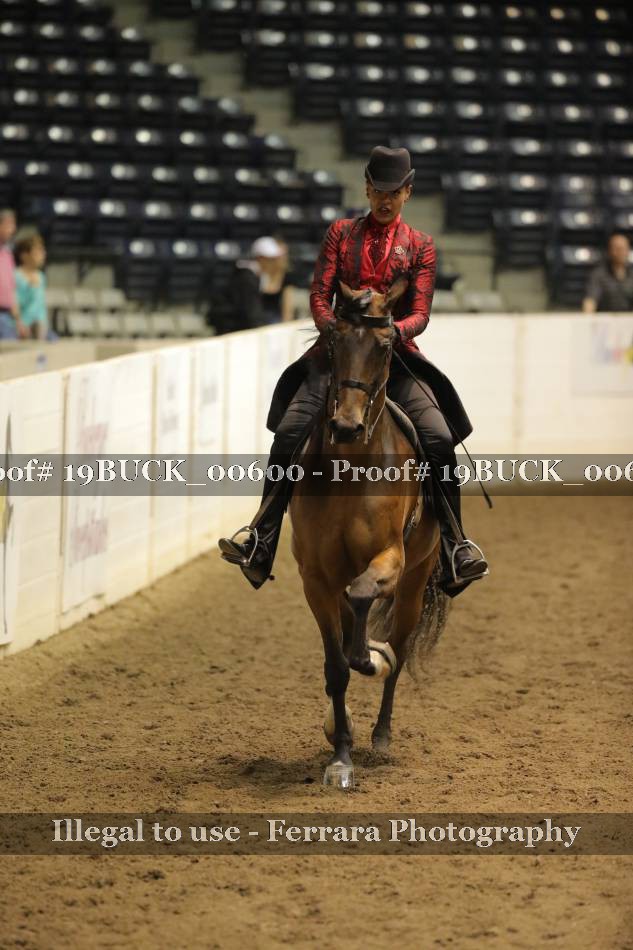 Proof 19BUCK_00600