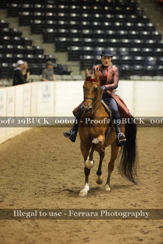 Proof 19BUCK_00601
