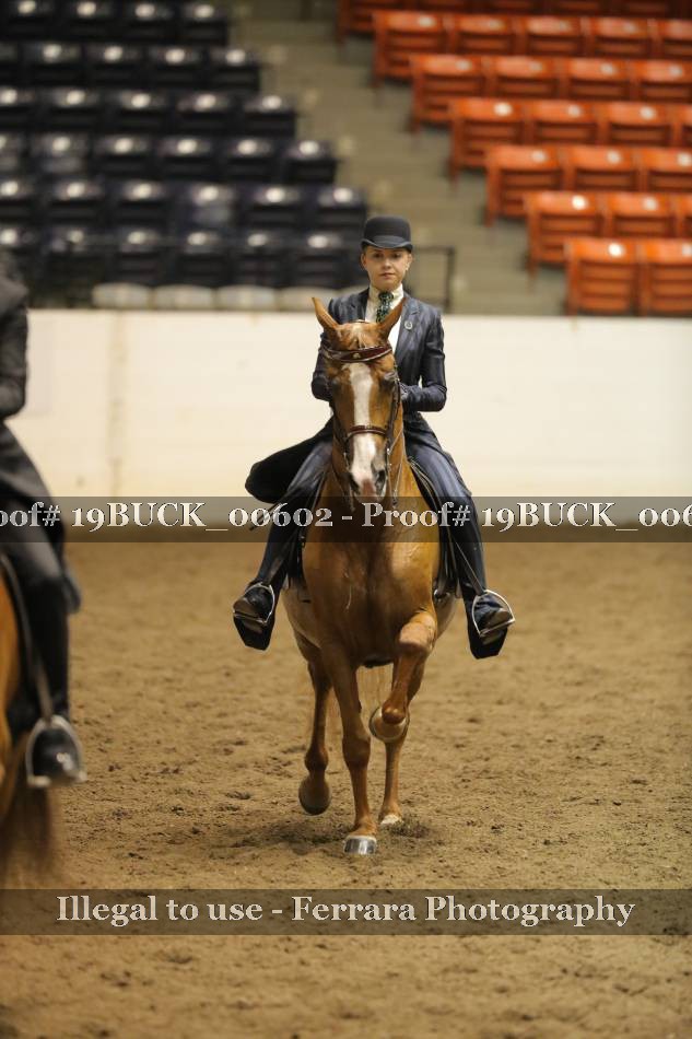 Proof 19BUCK_00602