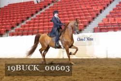 19BUCK_00603 proof