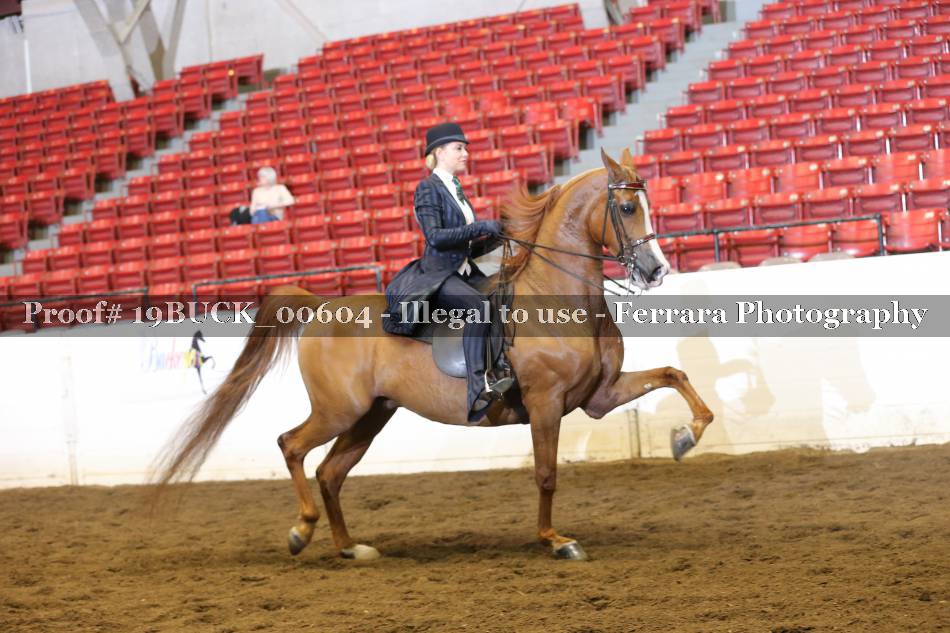 Proof 19BUCK_00604