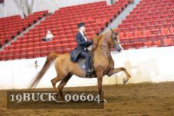19BUCK_00604 proof