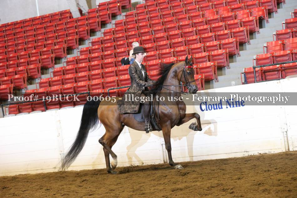 Proof 19BUCK_00605