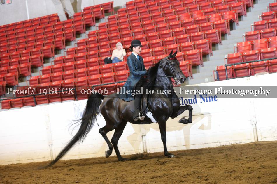 Proof 19BUCK_00606