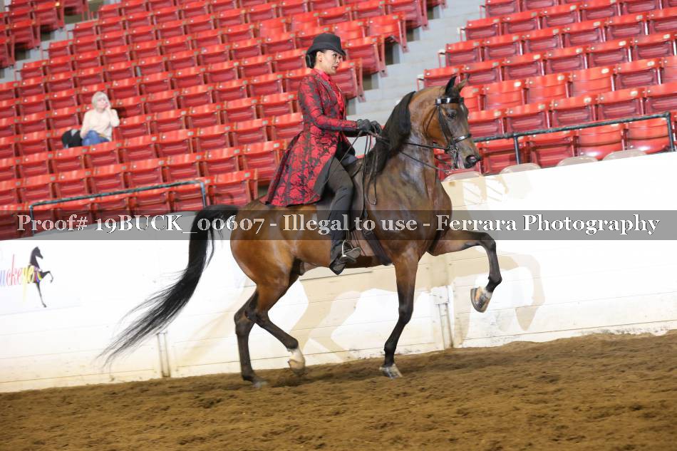 Proof 19BUCK_00607
