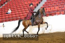 19BUCK_00607 proof
